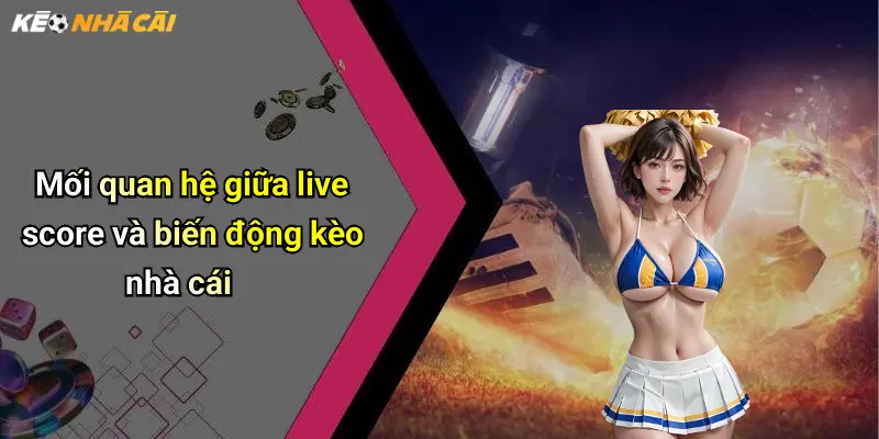 Mối quan hệ giữa live score và biến động kèo nhà cái