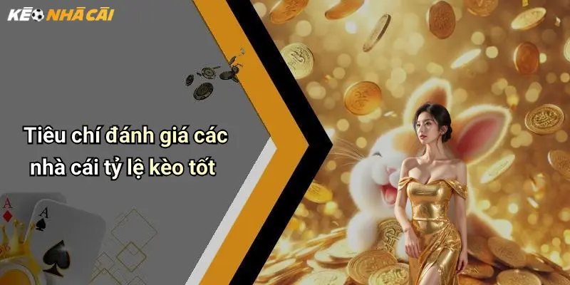 Tiêu chí đánh giá các nhà cái tỷ lệ kèo tốt