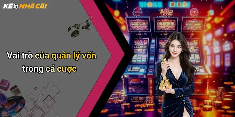 Vai trò của quản lý vốn trong cá cược