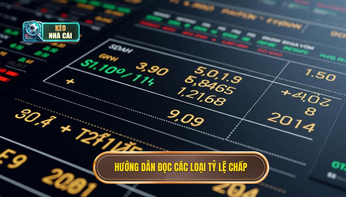 2. Hướng Dẫn Chi Tiết Cách Đọc Các Loại Tỷ Lệ Chấp Phổ Biến