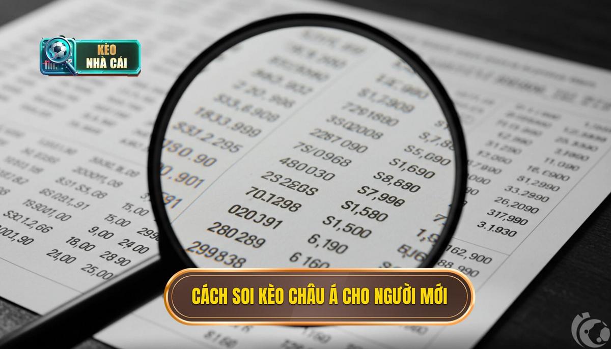 Cách Soi Kèo Châu Á Cho Người Mới