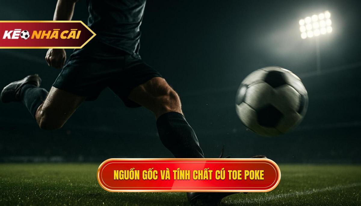 Nguồn Gốc Và Tính Chất đặc Trưng Của Cú Toe Poke