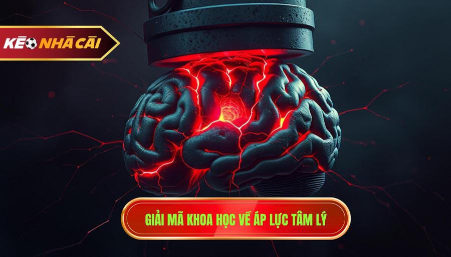 Giải Mã Khoa Học Về áp Lực Tâm Lý