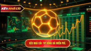 Tip bóng đá miễn phí